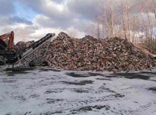 Firewood and Logs